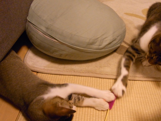 f:id:akiyochan15:20120913010426j:image