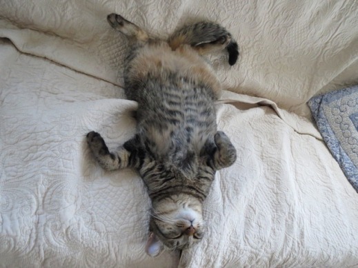 f:id:akiyochan15:20120917133458j:image