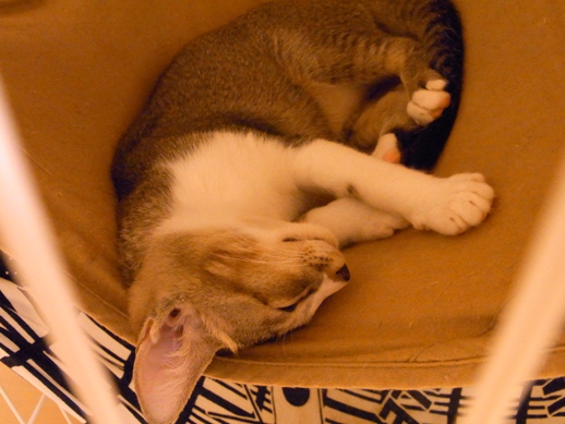 f:id:akiyochan15:20120918023630j:image f:id:akiyochan15:20120918023630j:image