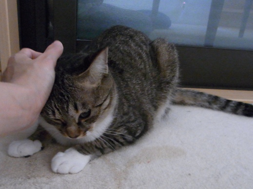 f:id:akiyochan15:20121005100159j:image