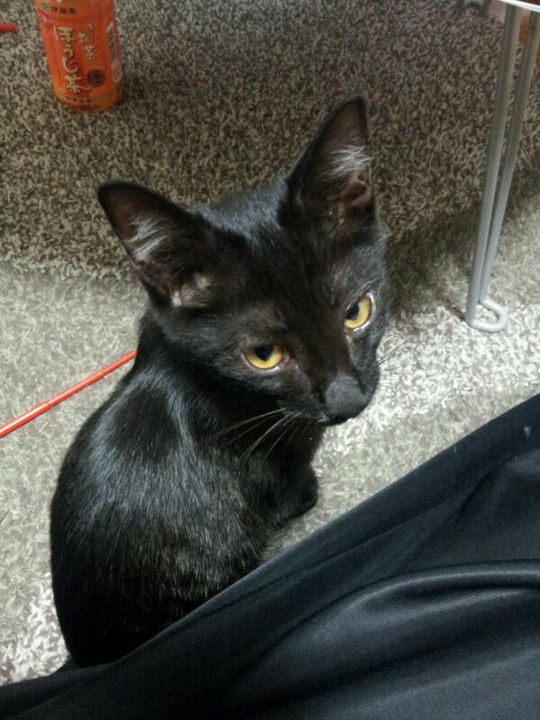 f:id:akiyochan15:20121014234107j:image:w318