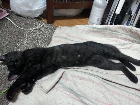 f:id:akiyochan15:20121014234108j:image