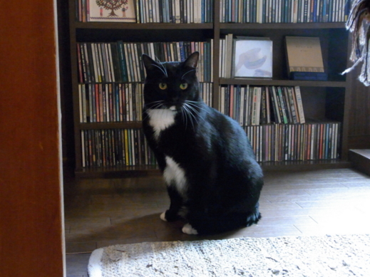 f:id:akiyochan15:20121031144530j:image:w519