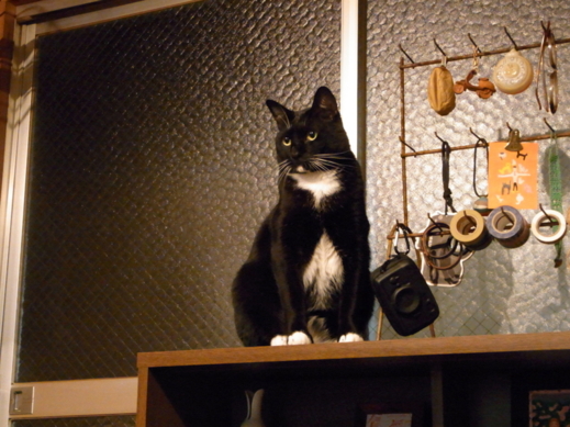 f:id:akiyochan15:20121031165649j:image:w519