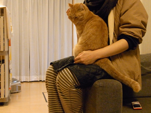 f:id:akiyochan15:20121114001158j:image