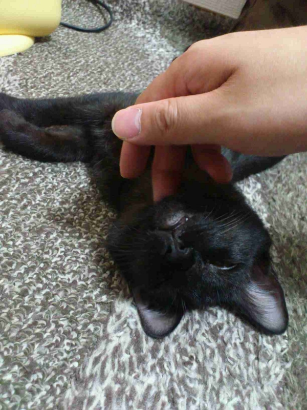 f:id:akiyochan15:20121116025712j:image:w300