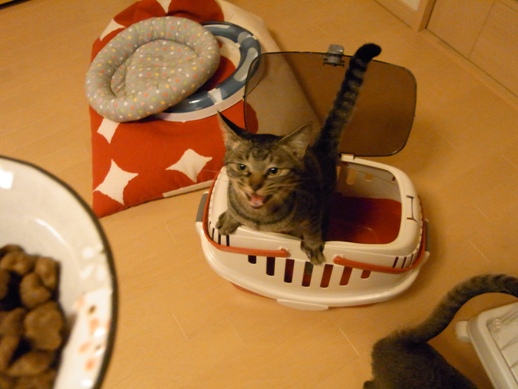 f:id:akiyochan15:20121116201324j:image