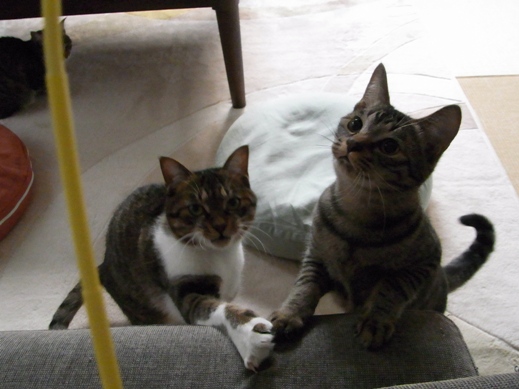 f:id:akiyochan15:20121118163110j:image f:id:akiyochan15:20121118163110j:image