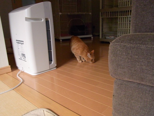 f:id:akiyochan15:20121118163337j:image f:id:akiyochan15:20121118163337j:image