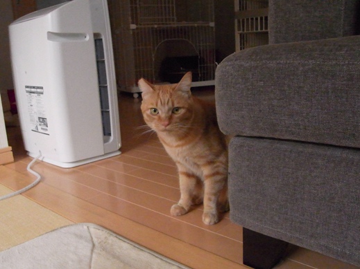 f:id:akiyochan15:20121118163602j:image f:id:akiyochan15:20121118163602j:image