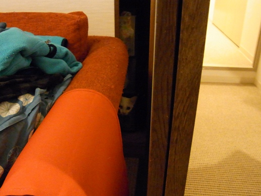 f:id:akiyochan15:20121207193557j:image