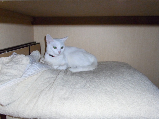 f:id:akiyochan15:20121207212048j:image