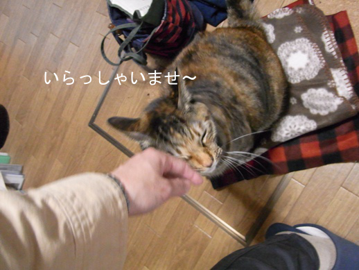 f:id:akiyochan15:20121213161222j:image f:id:akiyochan15:20121213161222j:image