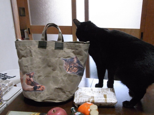 f:id:akiyochan15:20121213161942j:image f:id:akiyochan15:20121213161942j:image