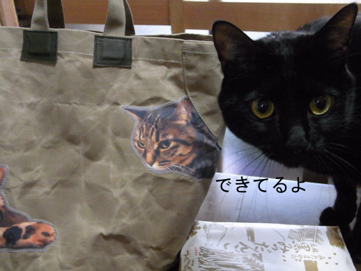 f:id:akiyochan15:20121213162005j:image f:id:akiyochan15:20121213162005j:image