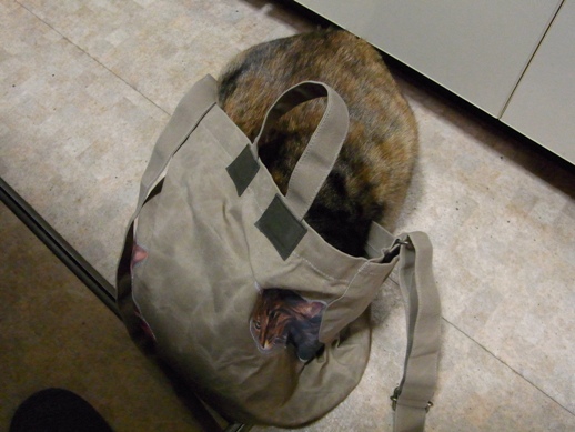 f:id:akiyochan15:20121213181819j:image f:id:akiyochan15:20121213181819j:image