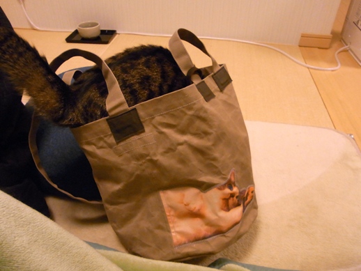 f:id:akiyochan15:20121214001605j:image f:id:akiyochan15:20121214001605j:image