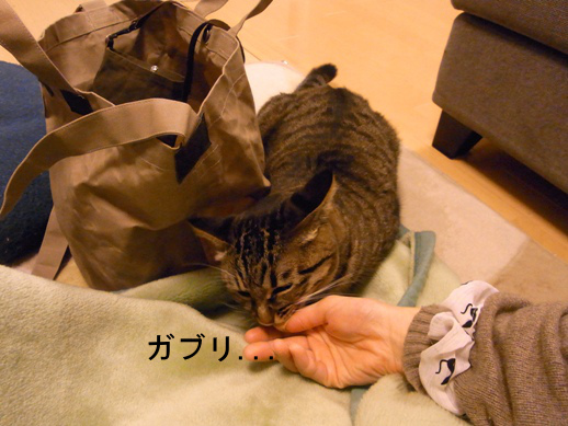 f:id:akiyochan15:20121214002115j:image f:id:akiyochan15:20121214002115j:image