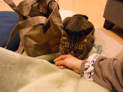 f:id:akiyochan15:20121214002145j:image f:id:akiyochan15:20121214002145j:image