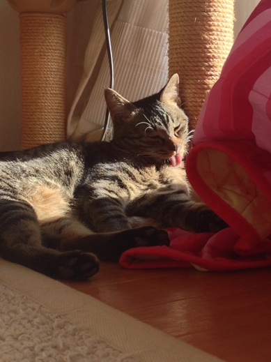 f:id:akiyochan15:20121218153209j:image:w280