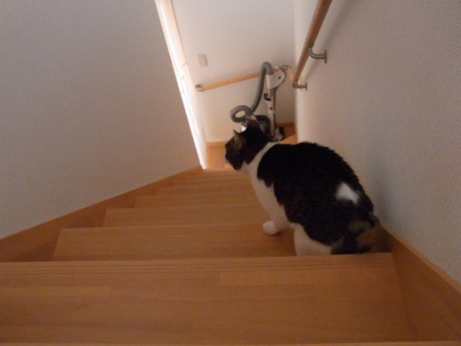 f:id:akiyochan15:20121218153713j:image