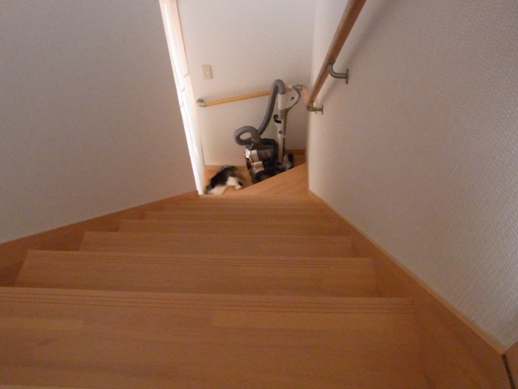 f:id:akiyochan15:20121218153730j:image