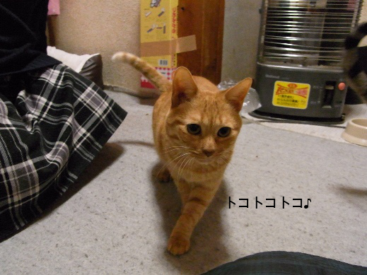 f:id:akiyochan15:20121219195334j:image f:id:akiyochan15:20121219195334j:image