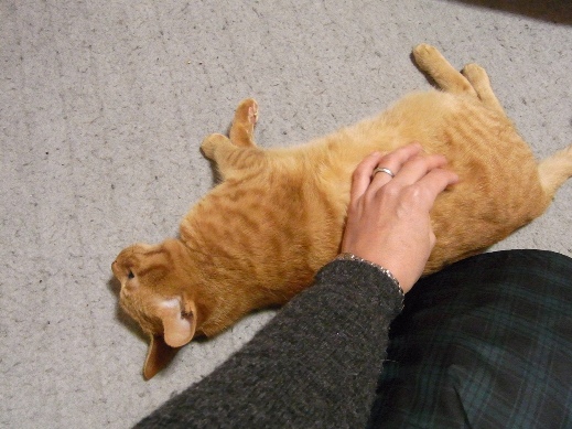 f:id:akiyochan15:20121219195511j:image f:id:akiyochan15:20121219195511j:image