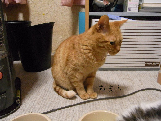 f:id:akiyochan15:20121219195837j:image f:id:akiyochan15:20121219195837j:image