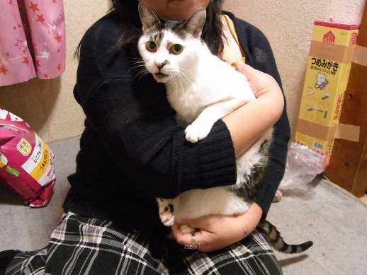 f:id:akiyochan15:20121219200906j:image f:id:akiyochan15:20121219200906j:image