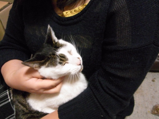 f:id:akiyochan15:20121219201330j:image f:id:akiyochan15:20121219201330j:image