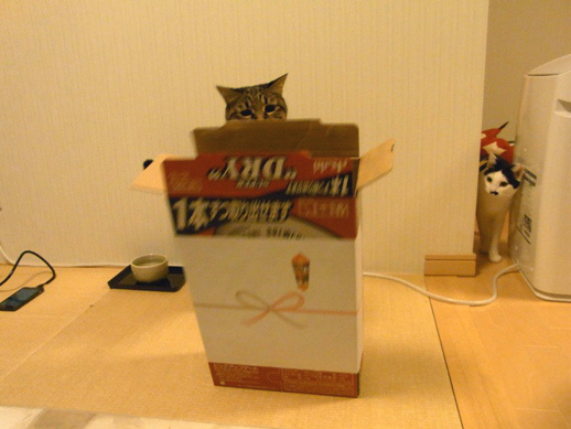 f:id:akiyochan15:20121220020903j:image f:id:akiyochan15:20121220020903j:image