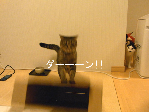 f:id:akiyochan15:20121220021331j:image f:id:akiyochan15:20121220021331j:image
