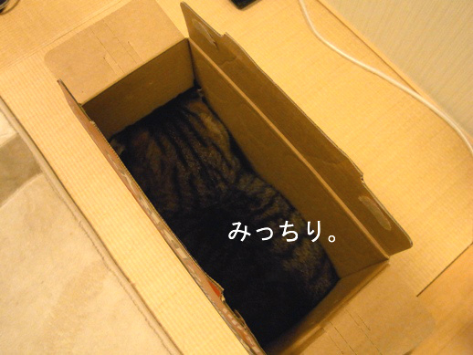 f:id:akiyochan15:20121220021631j:image f:id:akiyochan15:20121220021631j:image