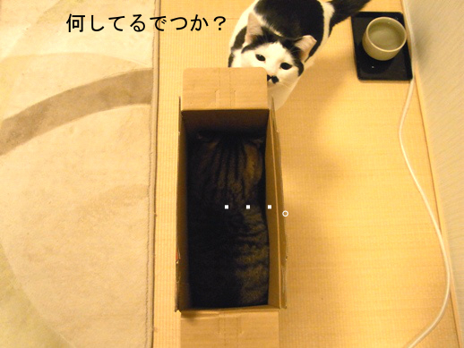 f:id:akiyochan15:20121220023442j:image f:id:akiyochan15:20121220023442j:image