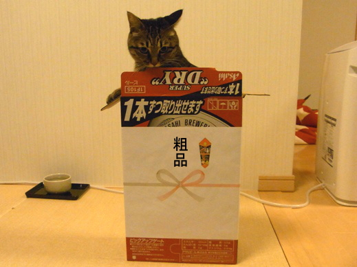 f:id:akiyochan15:20121220023444j:image f:id:akiyochan15:20121220023444j:image