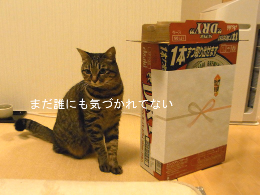f:id:akiyochan15:20121220024039j:image f:id:akiyochan15:20121220024039j:image