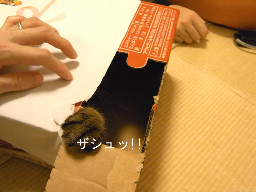 f:id:akiyochan15:20121220025700j:image f:id:akiyochan15:20121220025700j:image