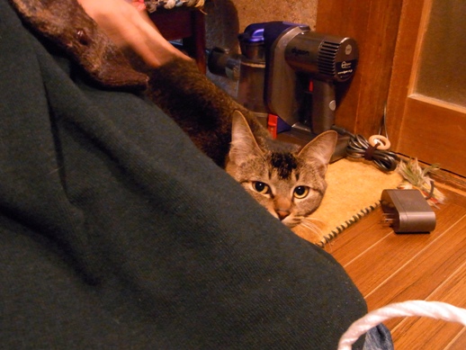 f:id:akiyochan15:20121228145224j:image f:id:akiyochan15:20121228145224j:image