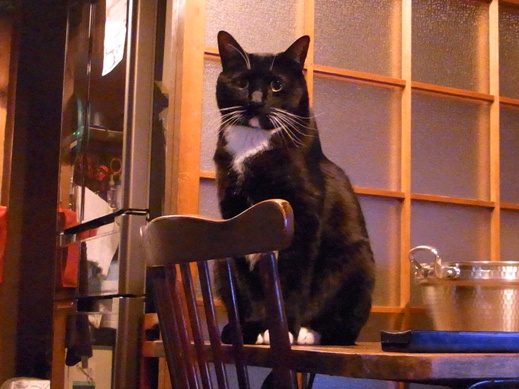 f:id:akiyochan15:20121228145935j:image f:id:akiyochan15:20121228145935j:image