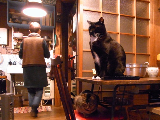 f:id:akiyochan15:20121228151230j:image f:id:akiyochan15:20121228151230j:image