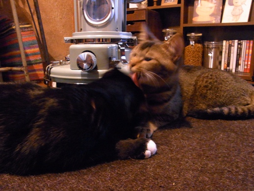 f:id:akiyochan15:20121228160620j:image f:id:akiyochan15:20121228160620j:image