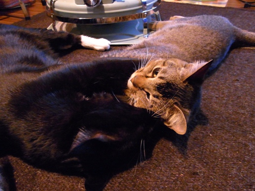 f:id:akiyochan15:20121228160759j:image f:id:akiyochan15:20121228160759j:image