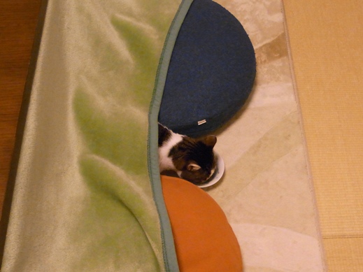 f:id:akiyochan15:20121231095642j:image f:id:akiyochan15:20121231095642j:image