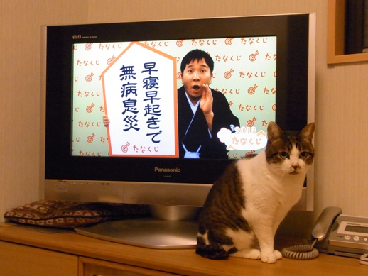 f:id:akiyochan15:20130105011105j:image