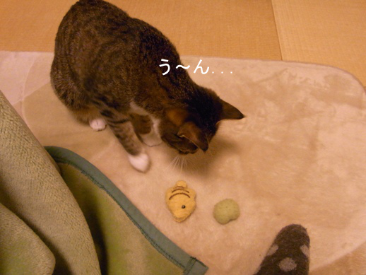 f:id:akiyochan15:20130110204713j:image