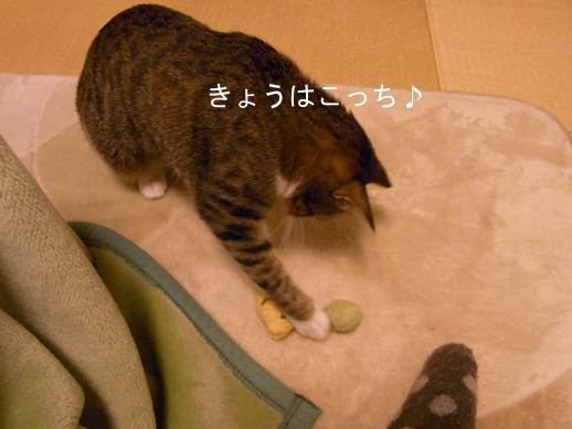 f:id:akiyochan15:20130110204716j:image