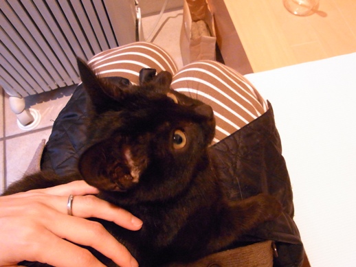 f:id:akiyochan15:20130111080629j:image