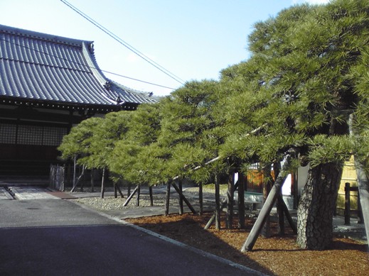 f:id:akiyochan15:20130116134322j:image f:id:akiyochan15:20130116134322j:image