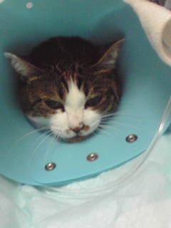 f:id:akiyochan15:20130116181634j:image f:id:akiyochan15:20130116181634j:image